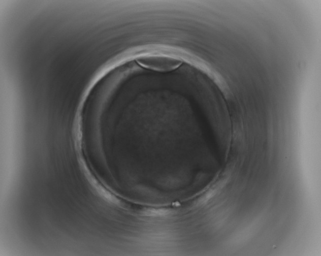 X0000114681522200910211200
