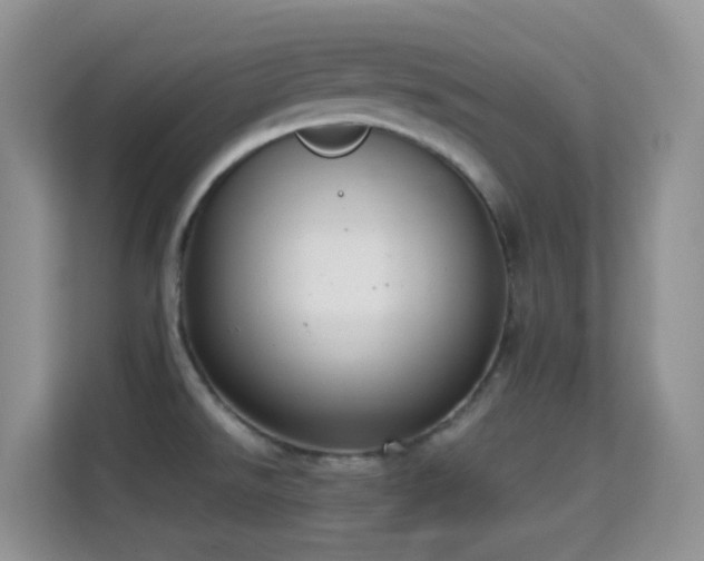 X0000114681526200910211200