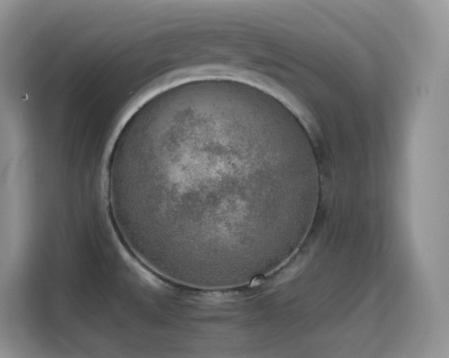 X0000114681527200910211200
