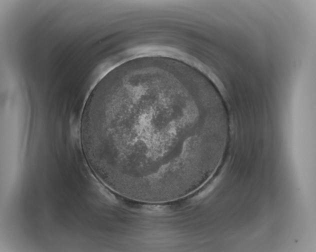 X0000114681529200910211200