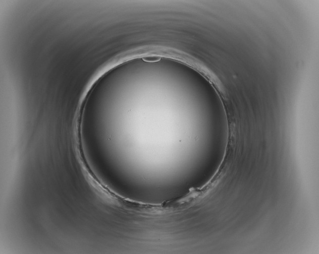 X0000114681530200910211200