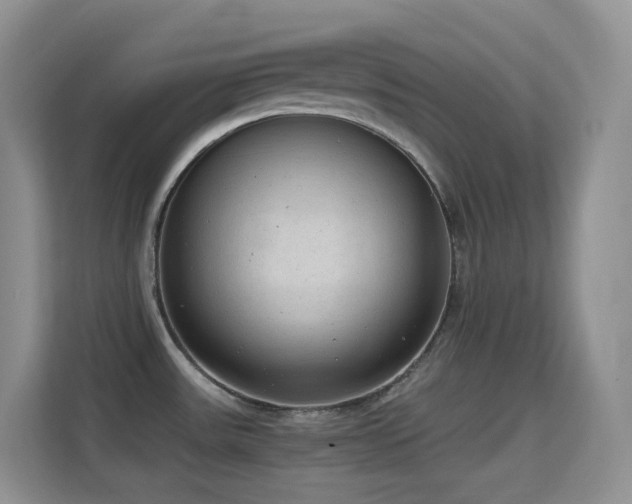 X0000114681531200910211200