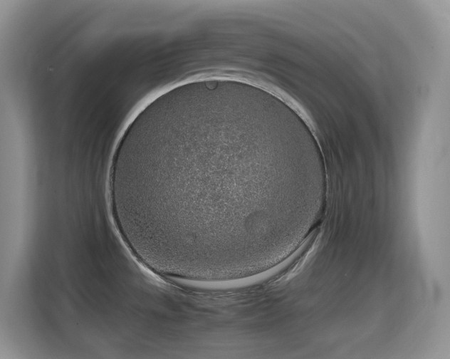 X0000114681533200910211200