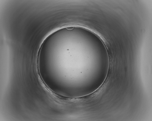 X0000114681534200910211200