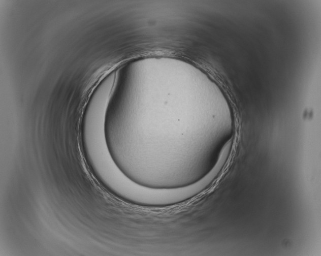 X0000114680001200911121506