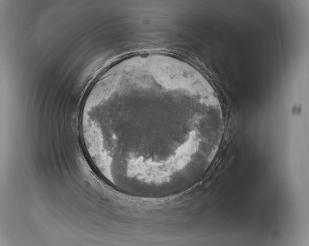 X0000114680002200911121506