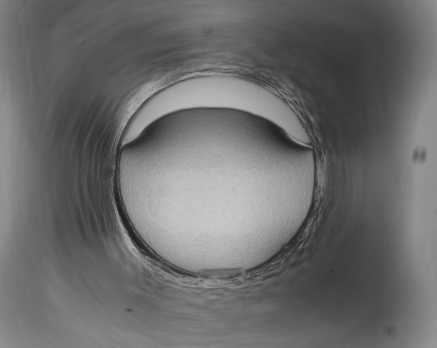 X0000114680003200911121506