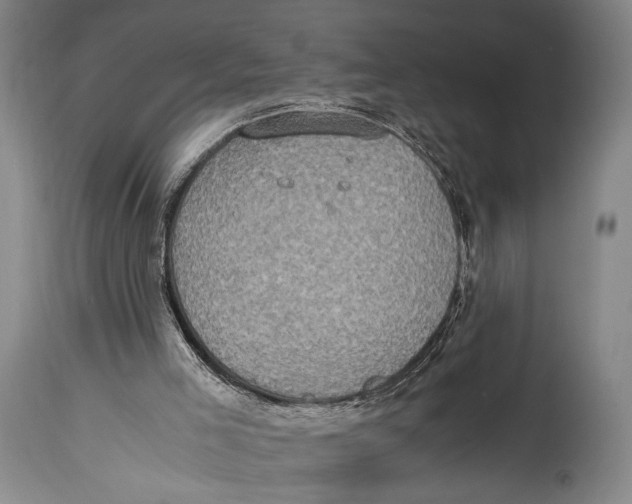 X0000114680005200911121506