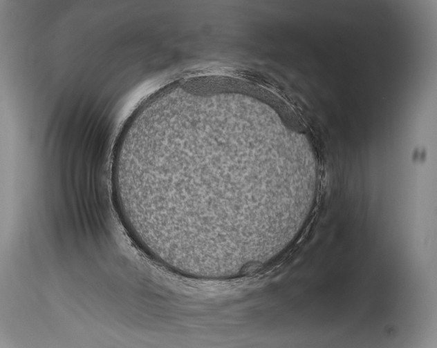 X0000114680006200911121506