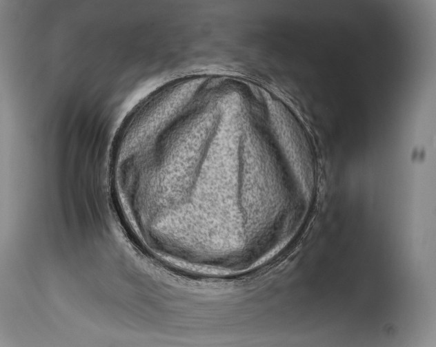 X0000114680008200911121506