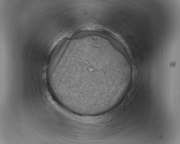 X0000114680010200911121506