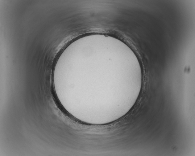 X0000114680011200911121506