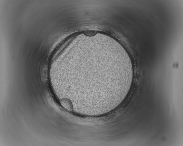 X0000114680012200911121506