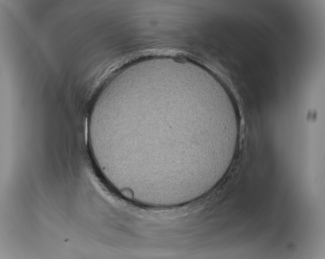X0000114680013200911121506