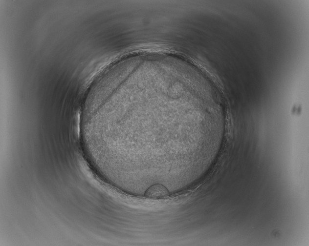 X0000114680014200911121506