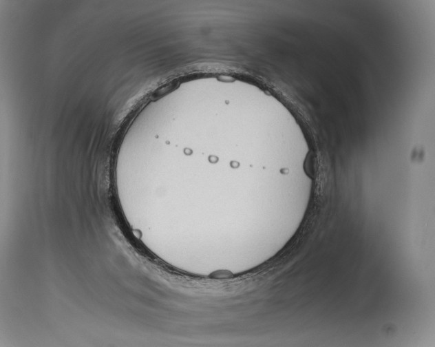 X0000114680015200911121506