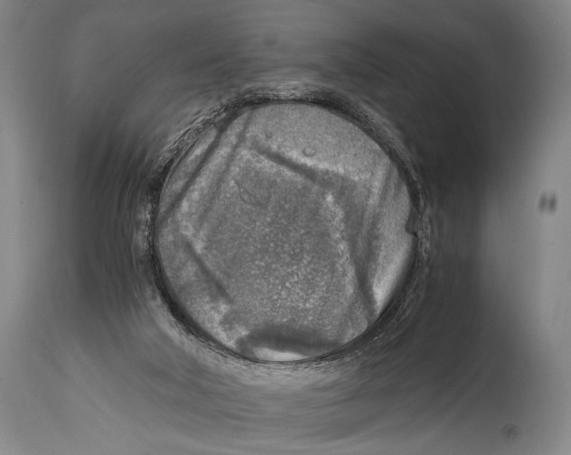 X0000114680018200911121506
