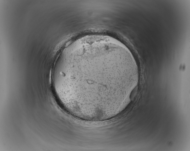 X0000114680019200911121506