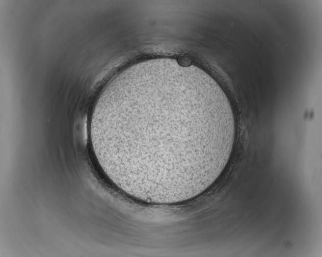 X0000114680020200911121506