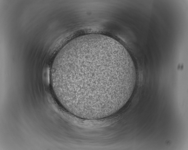 X0000114680022200911121506