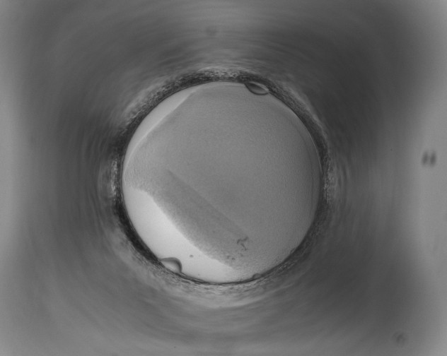X0000114680023200911121506
