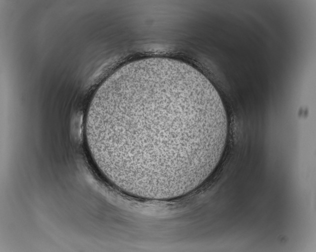 X0000114680024200911121506