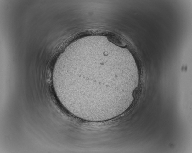 X0000114680025200911121506