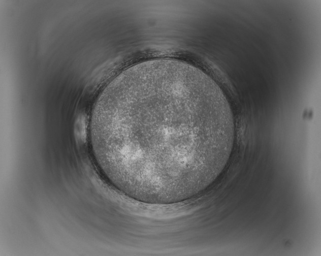 X0000114680026200911121506
