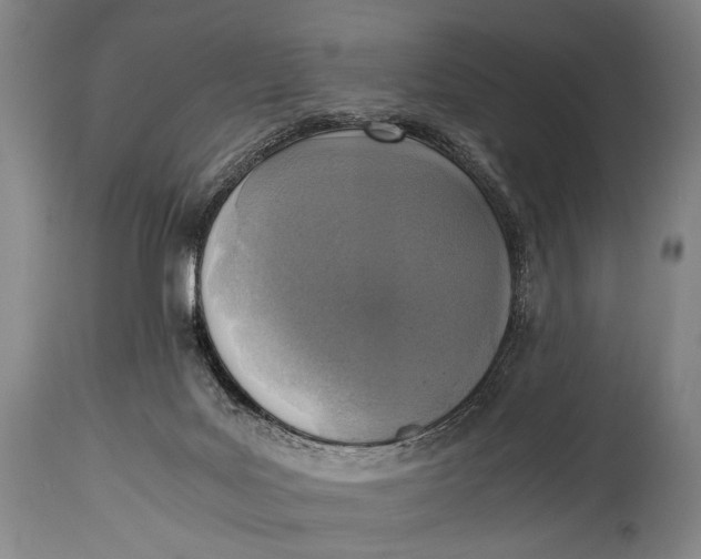 X0000114680027200911121506