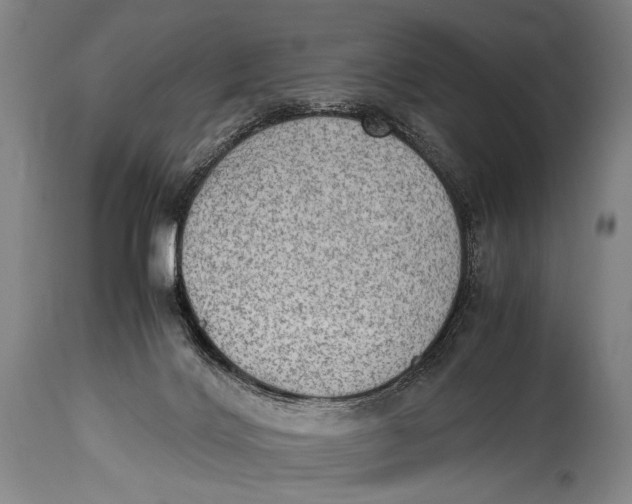 X0000114680028200911121506