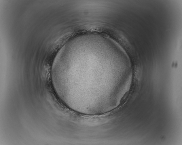 X0000114680029200911121506
