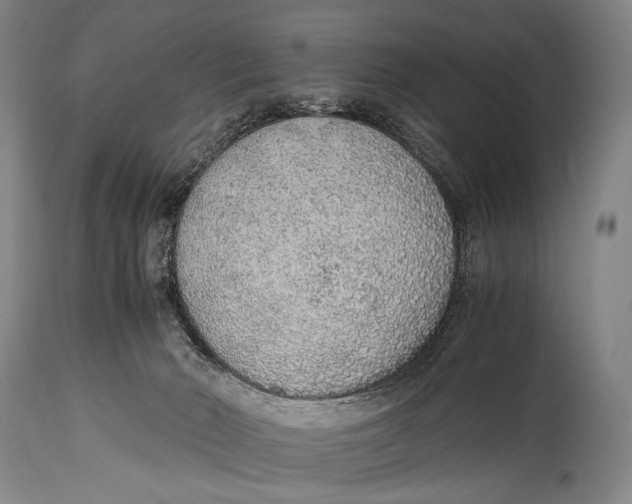 X0000114680030200911121506