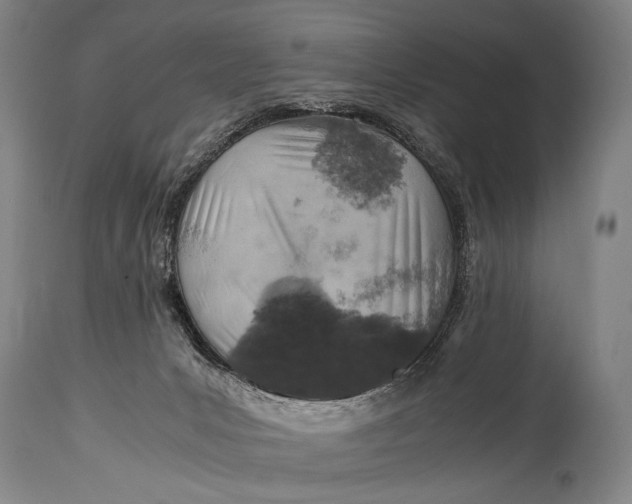 X0000114680031200911121506