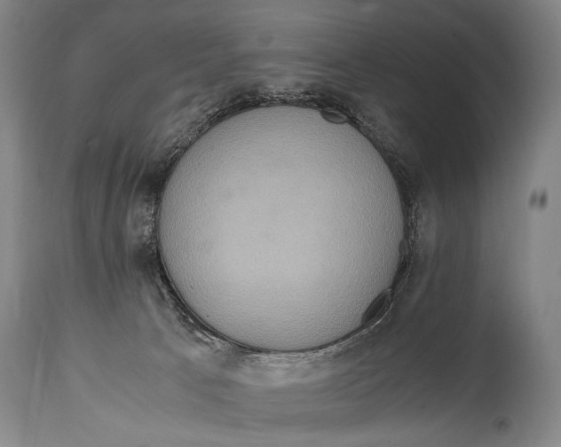 X0000114680033200911121506