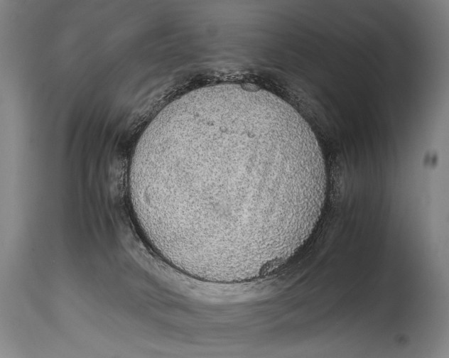 X0000114680034200911121506