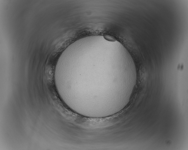 X0000114680037200911121506