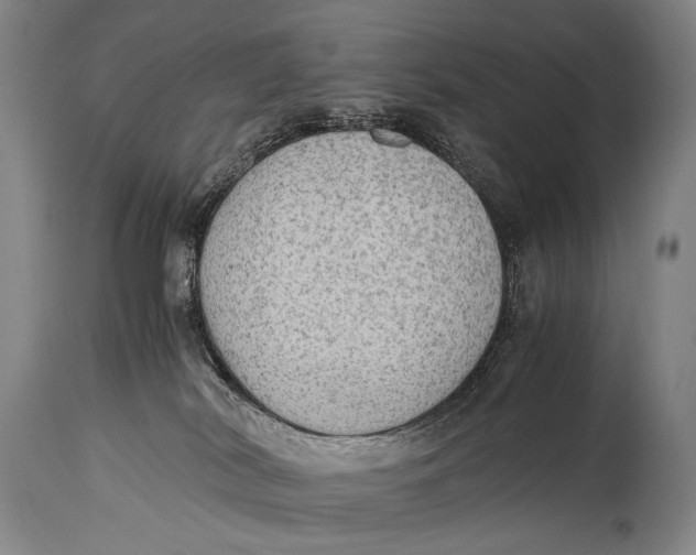 X0000114680038200911121506