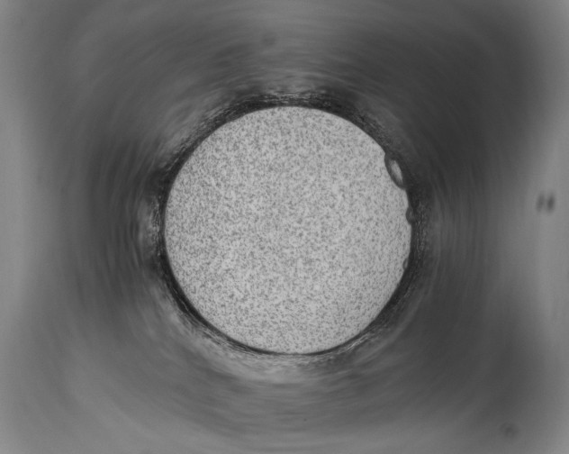 X0000114680040200911121506