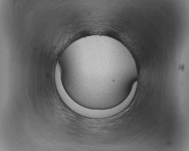 X0000114680041200911121506