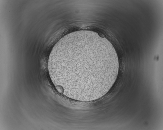 X0000114680044200911121506