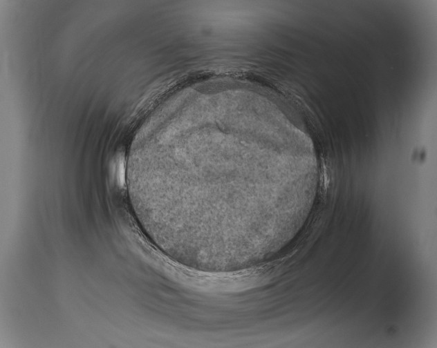 X0000114680046200911121506