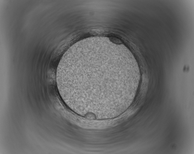 X0000114680048200911121506