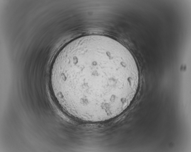 X0000114680049200911121505