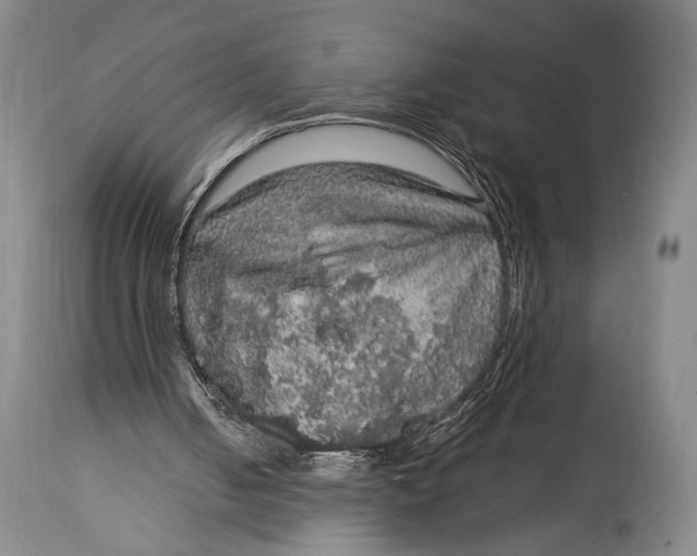 X0000114680050200911121505