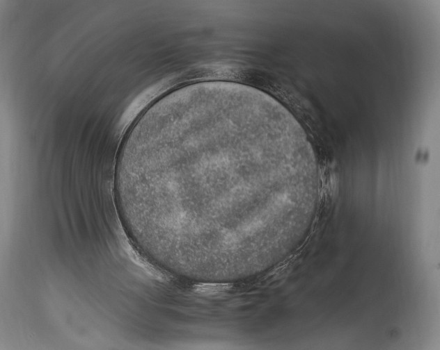 X0000114680051200911121505