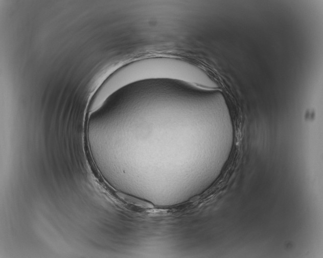 X0000114680052200911121505