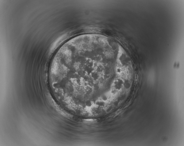 X0000114680053200911121505