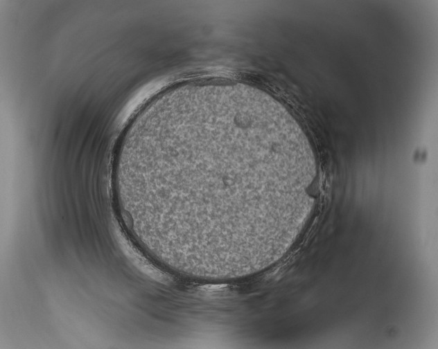 X0000114680054200911121505