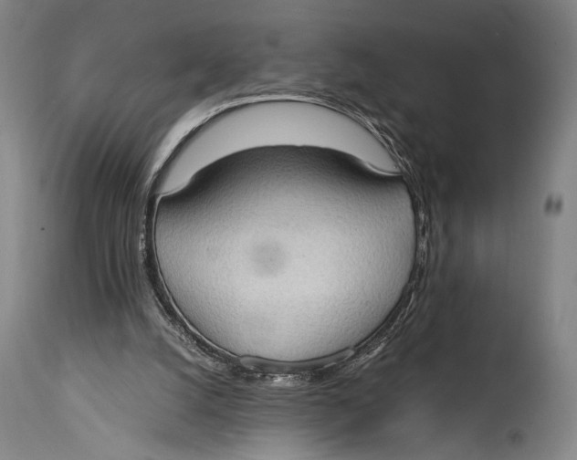 X0000114680056200911121505