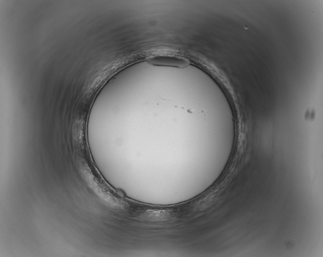 X0000114680057200911121505